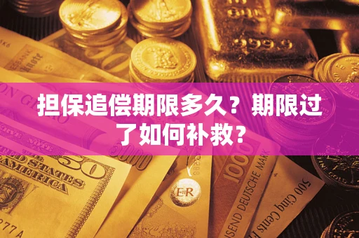 北京担保追偿期限多久？期限过了如何补救？