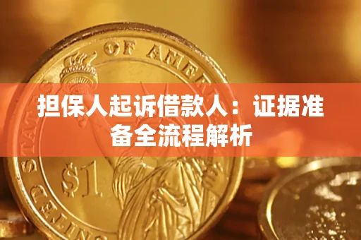 北京担保人起诉借款人：证据准备全流程解析