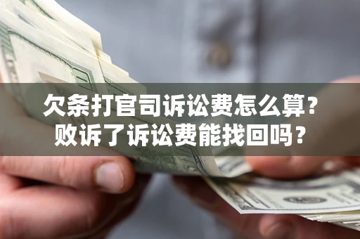 北京欠条打官司诉讼费怎么算？败诉了诉讼费能找回吗？
