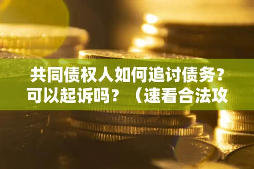 北京共同债权人如何追讨债务？可以起诉吗？（速看合法攻略）