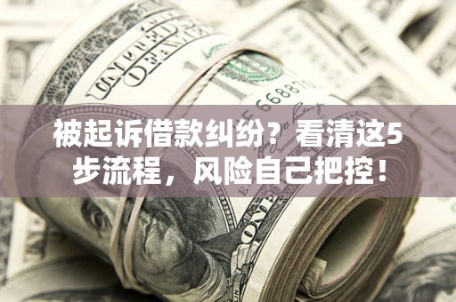 北京被起诉借款纠纷？看清这5步流程，风险自己把控！