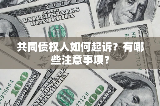 北京共同债权人如何起诉？有哪些注意事项？