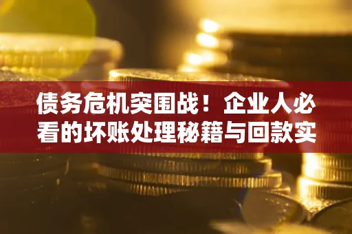 北京债务危机突围战！企业人必看的坏账处理秘籍与回款实战指南