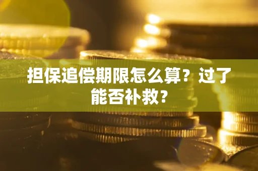 北京担保追偿期限怎么算？过了能否补救？